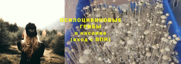 гашик Семикаракорск