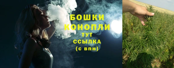 гидра Мегион