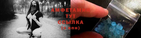 прущие грибы Волосово