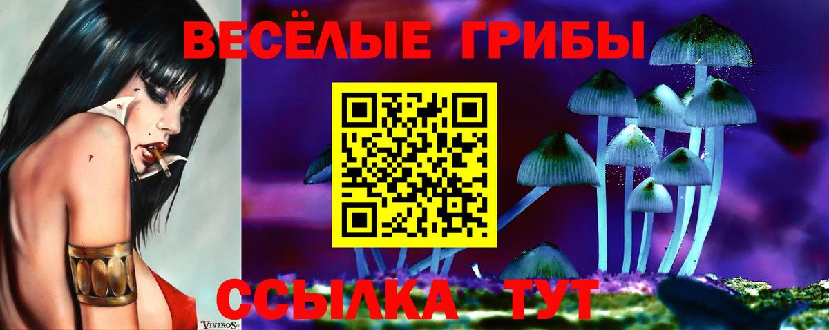 Россия  Псилоцибиновые грибы мухоморы  Вход с VPN 