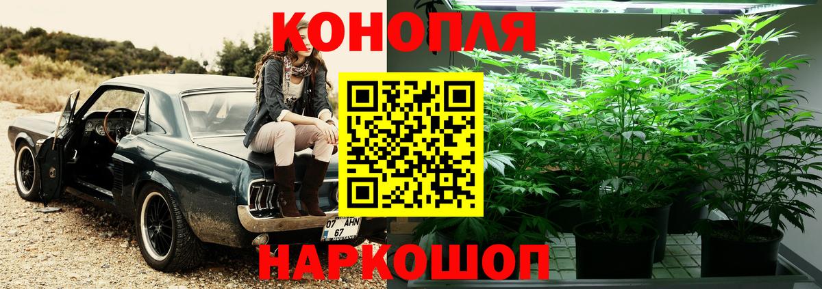 Шишки марихуана планчик Россия